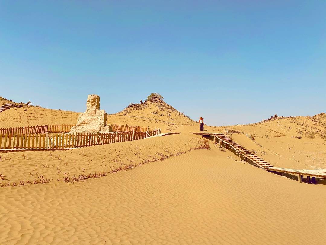 刘予儿|亲历尼雅遗址，感受中国葡萄酒的文化起源