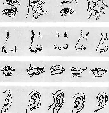 头像|干货教程 | 速写五官很难画？给你详细解析！