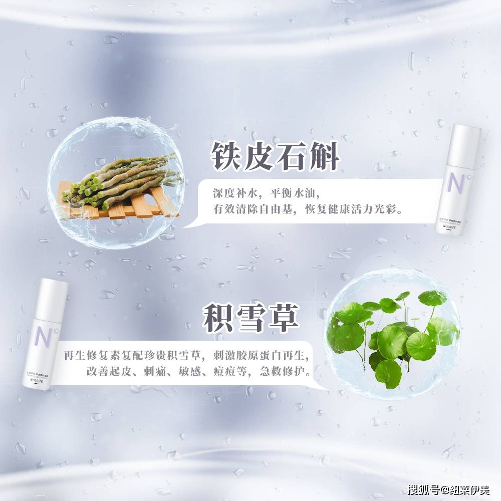 植物|纽莱伊美专栏：长斑？致癌？防晒知识你知道多少？