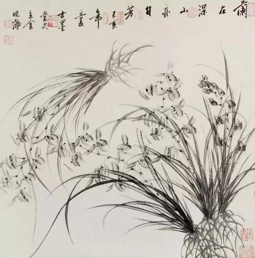 喜迎中秋——欣赏金晓海先生兰花作品