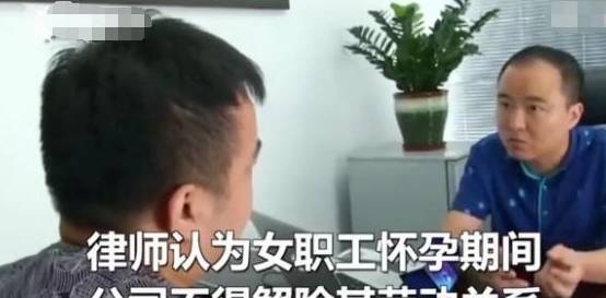 厕所|女子怀二胎公司让其看厕所,怒找记者曝光,老板:就是要开除你!