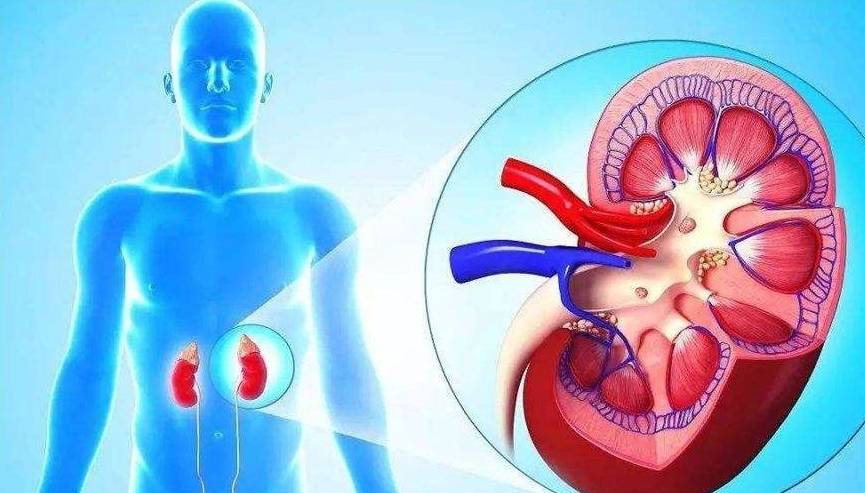 治疗|得了肾病，这几种行为会更添乱，如果有，建议及时改掉