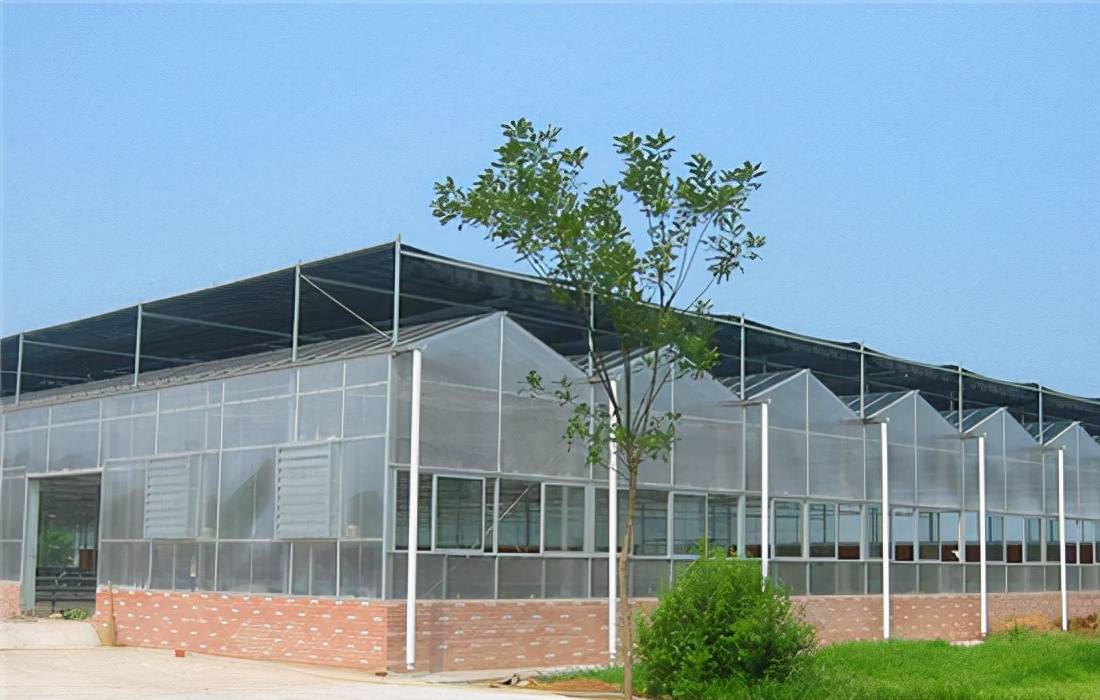 阳光板连栋温室:适用于立体栽培,科研育苗,生态餐厅,休闲观光等温室