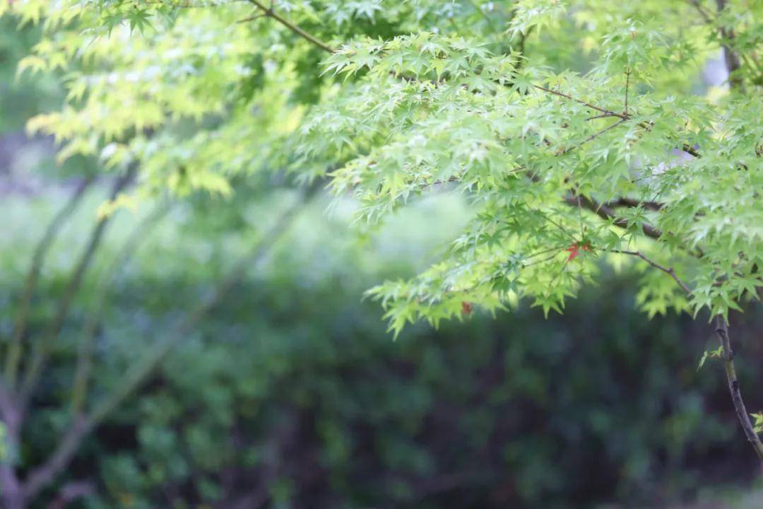 航空|多图预警 解锁航空港区初秋的N种颜色