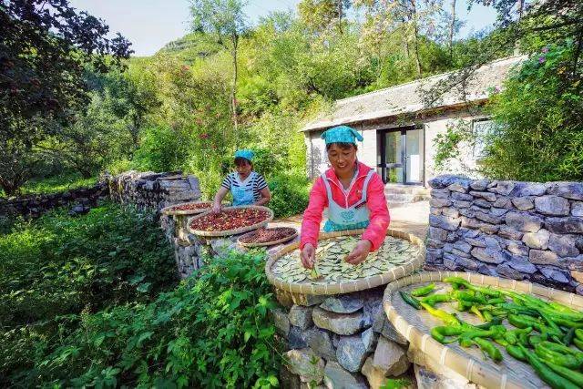 来自|婚礼、避世、消暑...100个人住进民宿，就有100种不同的感受