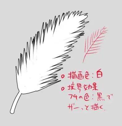 板绘教程——简单的绘制一根羽毛的技巧