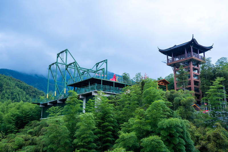 游卧虎藏龙取景地,安吉中国大竹海!