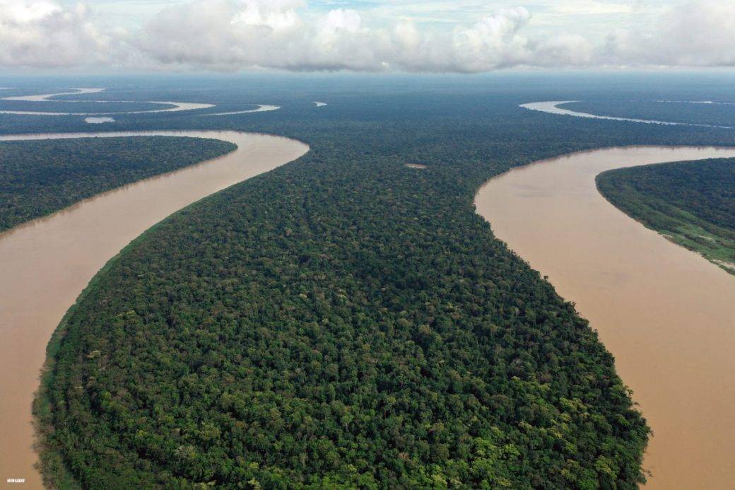 亚马逊河有多危险,为什么至今没有一座桥梁敢跨越它?
