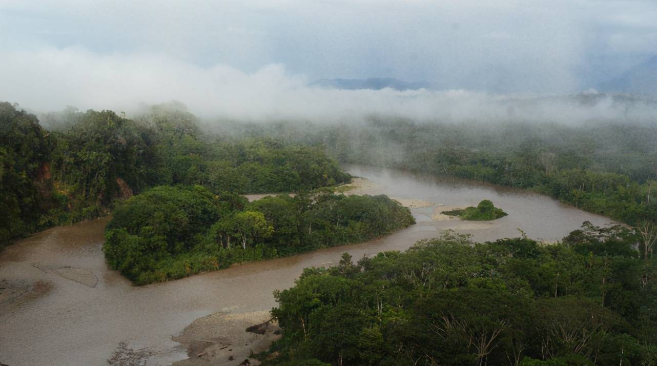 亚马逊河有多危险,为什么至今没有一座桥梁敢跨越它?