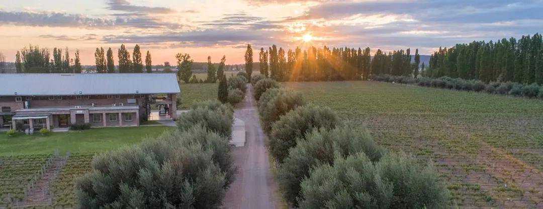 栽培|菲雷尔酒庄维斯塔干红葡萄酒2014!