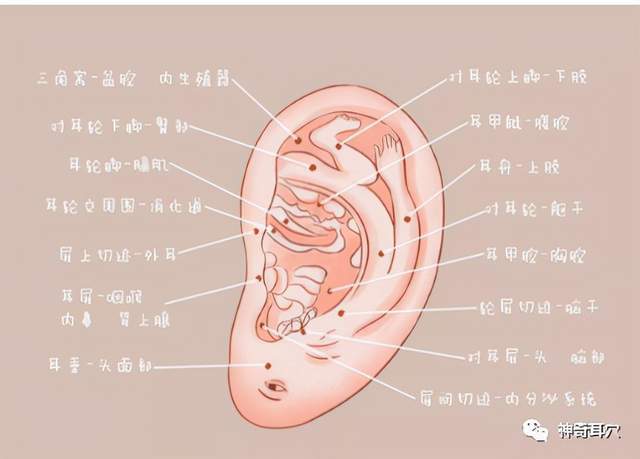 进行|益康耳穴:患尿毒症,难道就只能妥协吗?为什么不试下这个方法