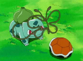 皮皮太皮养不好系列多肉水了叶片掉了枝干枯了错在哪了