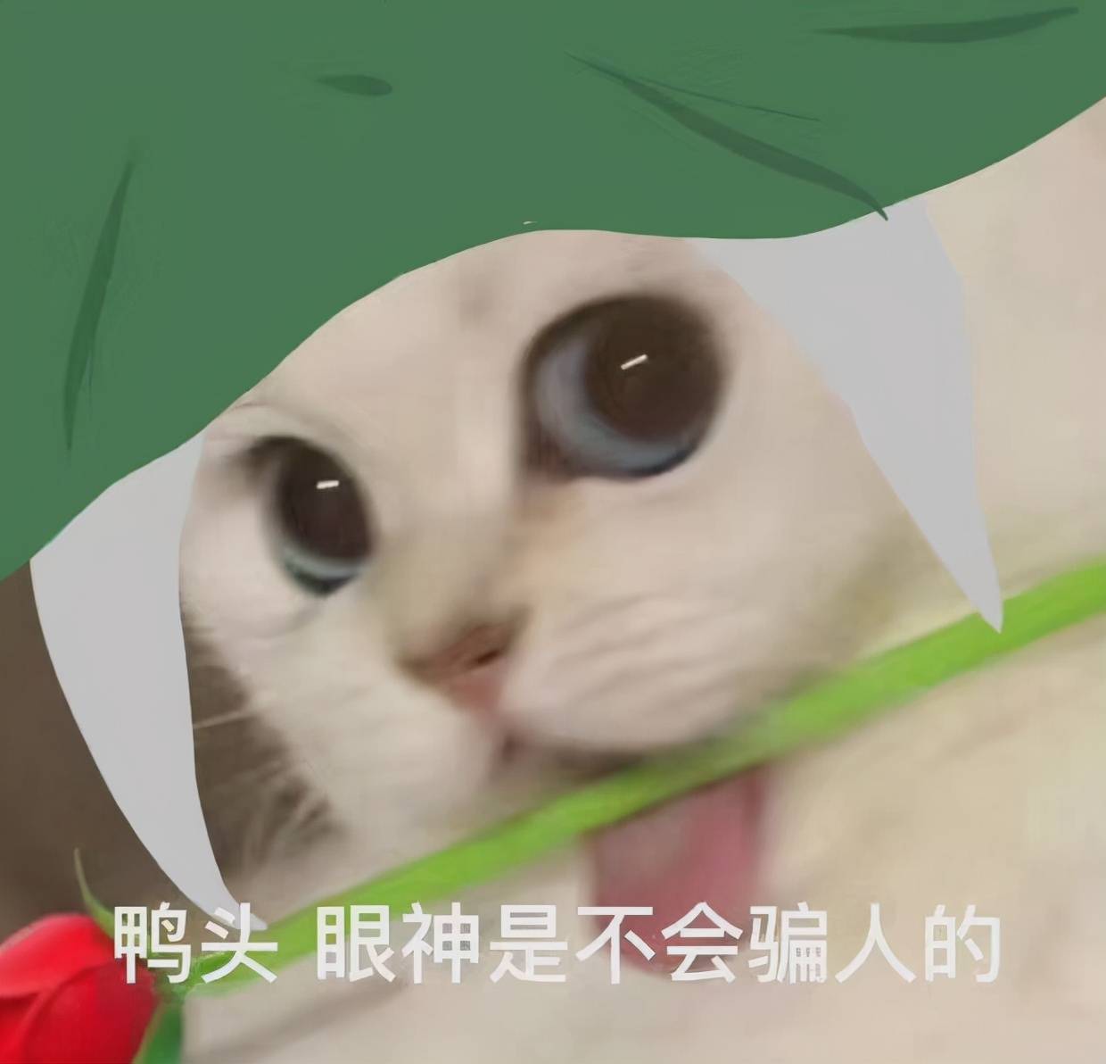 剑网三:剑纯玩家风评被害?比起校服,胎胎更爱混迹战宝拍散件?