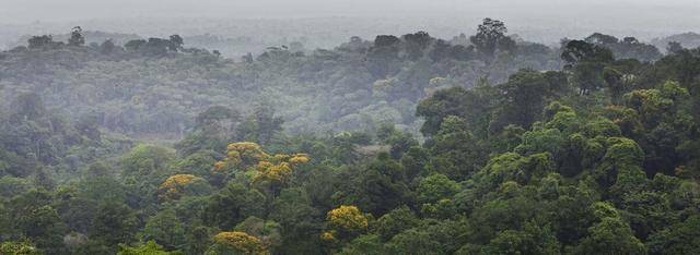 亚马孙雨林到底有多恐怖，被称为人类禁区，却依然有原始人存在