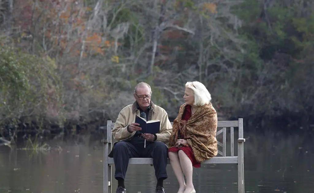 因为|电影避雷！毁三观的高分爱情电影《恋恋笔记本》