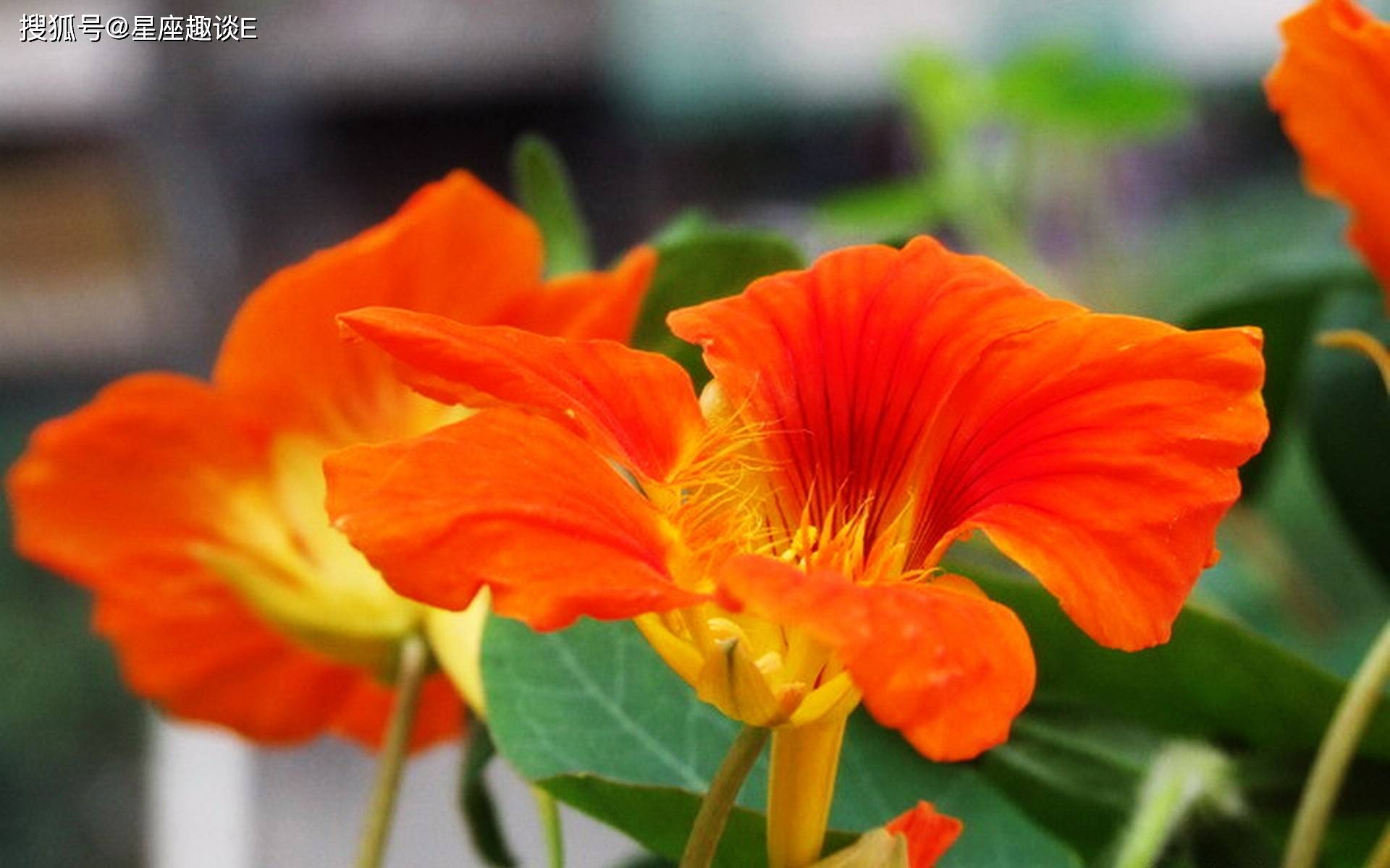 9月日 30日星座运势 巨蟹座贵人相助 摩羯座脚踏实地 感情