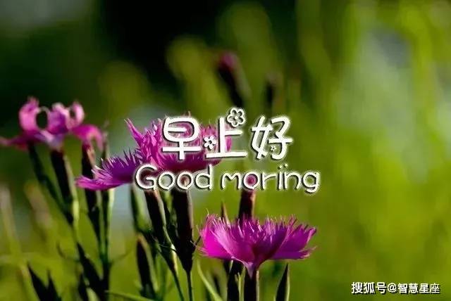 9月22日早上好真正的朋友不会因距离而疏远好的感情交的是心早安