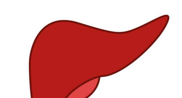 肝脏|肝不好的人,早餐宁愿不吃,也尽量别碰这几种食物