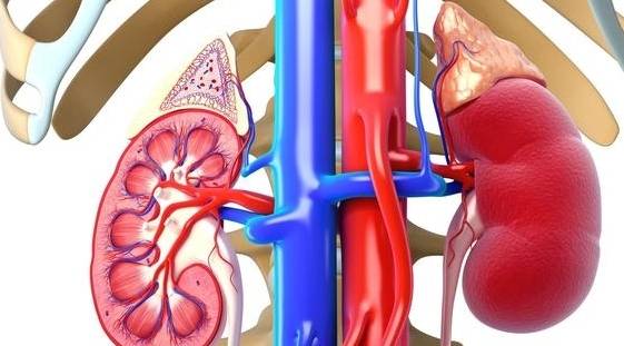 诊断|蛋白尿难消除有6个原因,医生给肾友3条建议,收藏