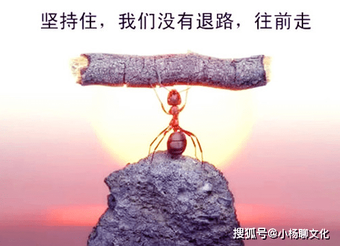 ae4e8da16f8243d8beb89f99d92c1211.png