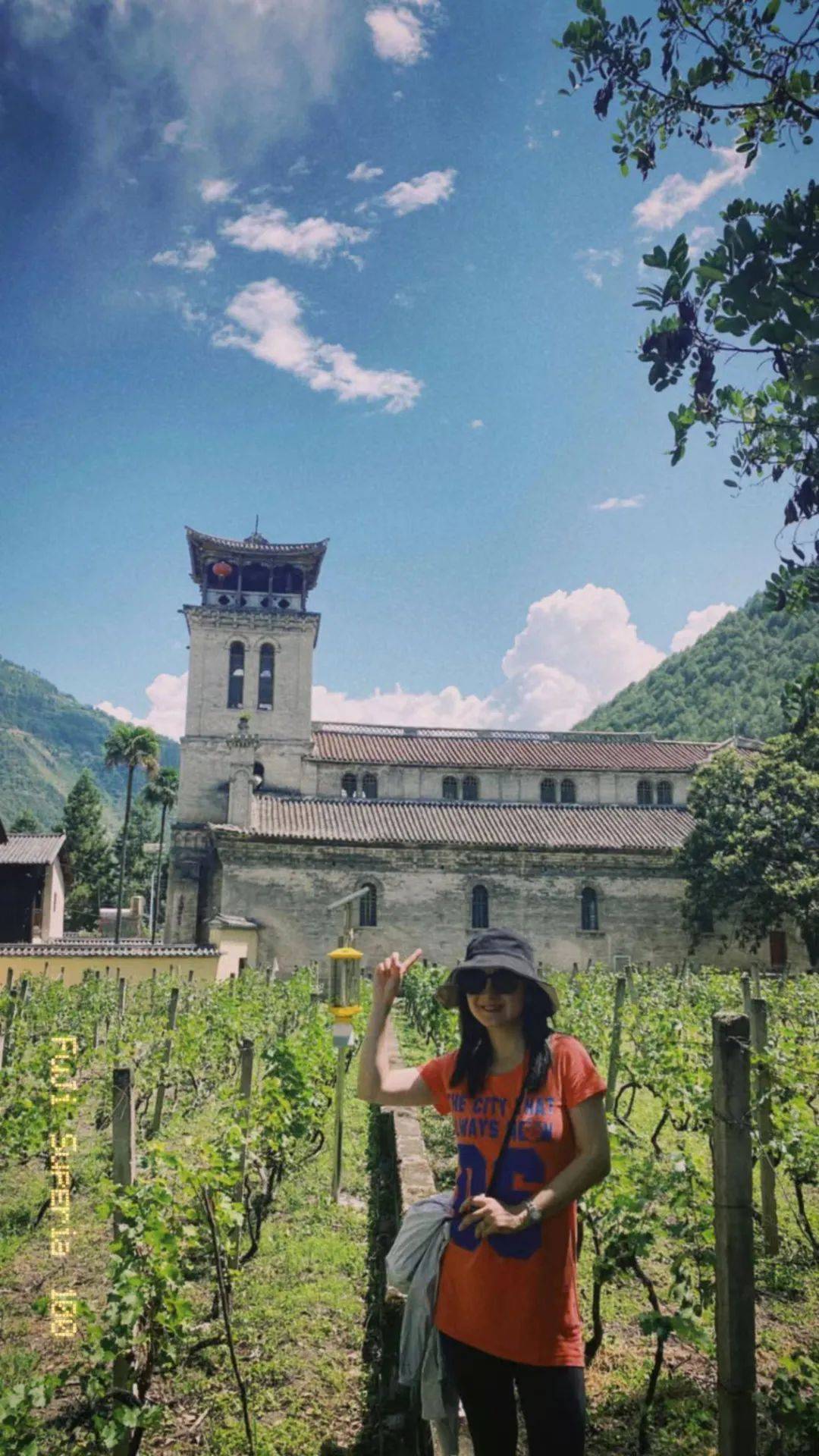 Wine|百馥访谈|前四大会计师事务所税务合伙人安洁，香格里拉葡萄酒产区研学感受