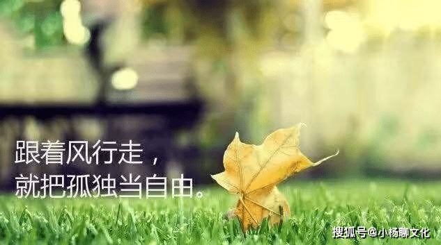 02c39735eefa47998ff15c560ad3f0e8.png