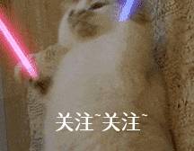 对比|养狗前后的大对比,资深铲屎官纷纷“躺枪”!