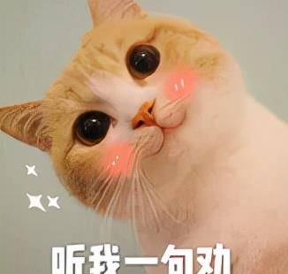 发型糕妈：我的私藏变美好物大公开！效果堪比换头，最便宜的不到30块