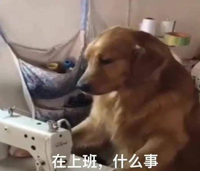 5a72a5b999c74cf3bf0c2d788f2ad72d.jpeg