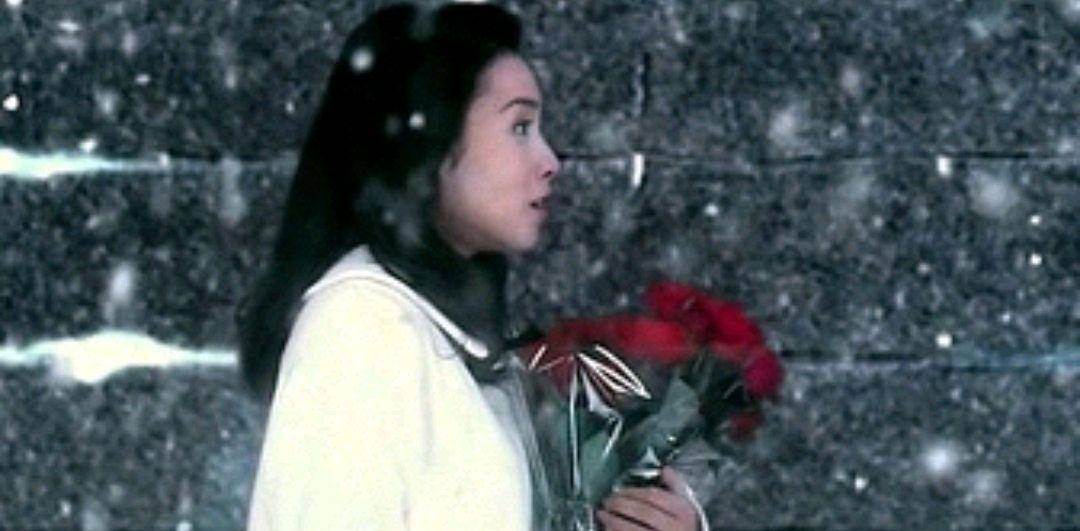 飞蛾扑火的爱情是什么意思 6791966c43904bca8c678a93803457bf.jpeg