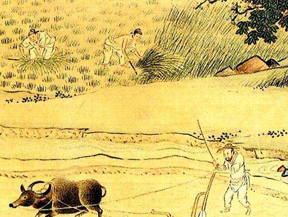 同样是府兵制 为何西魏能培养强大的军队 而唐朝却遭遇无兵可用 时期