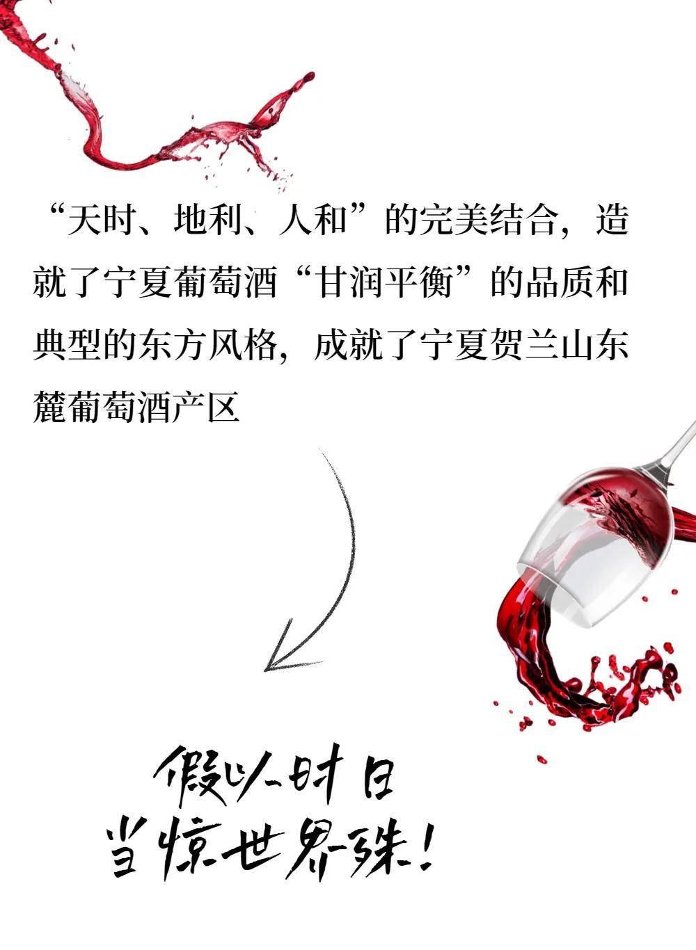 国际|听说,宁夏葡萄酒最近很火!