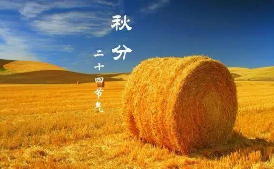 被称为|正是一年最美时