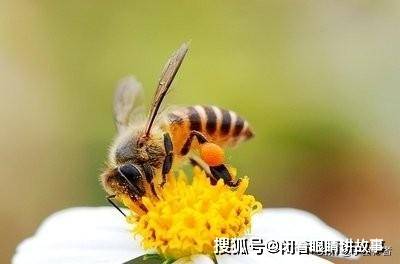 37c5d7d15f6a4ceb9ed3ad574d535365.jpeg