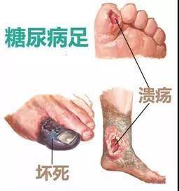 ac2c1b1cb5d44945bd1a59b12d82a62b.jpeg