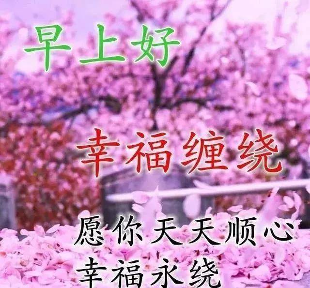 因为|9月25日秋季清晨问候朋友早上好的暖心祝福，最美早晨好群发动态美图