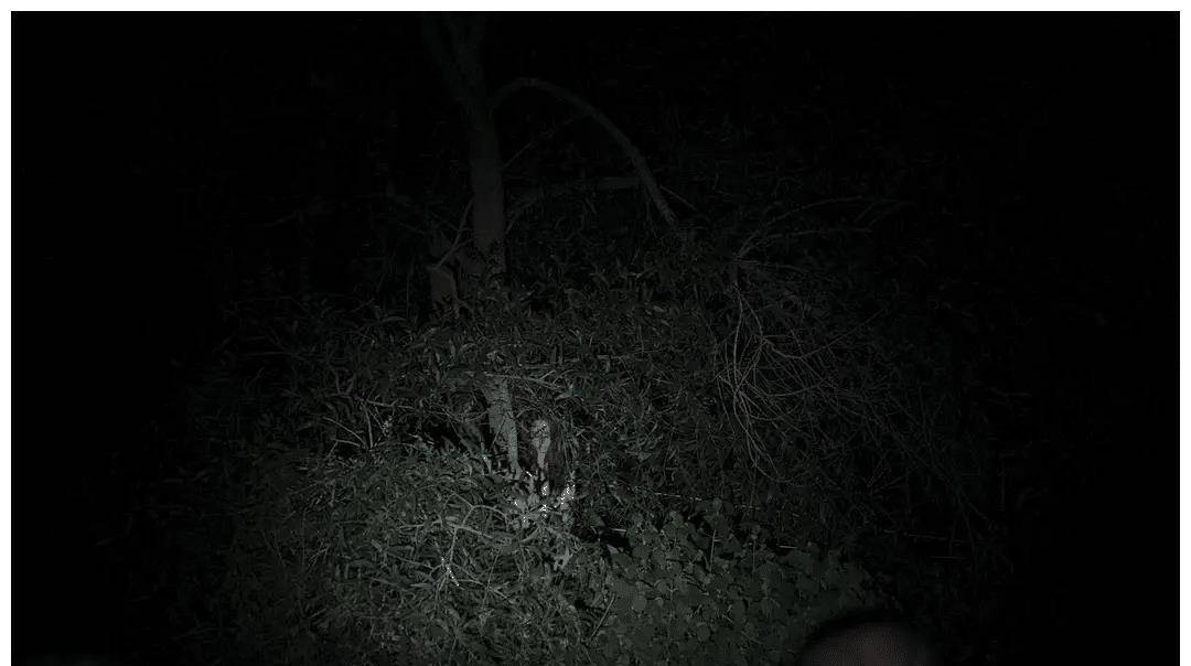 电影|泰韩合作恐怖电影《灵媒》，是年度恐怖之最or大型抽疯现场？