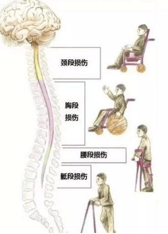 d21b80a7f4494755a15f2686eba9ef0a.png