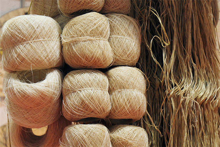 儿童黄麻床垫选苏老伯理由睡眠质量很重要