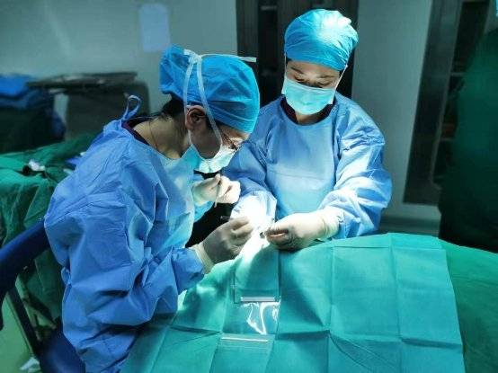 辫子|点亮明眸再赴西藏 “辫子医生”手术矫治7名斜视患儿