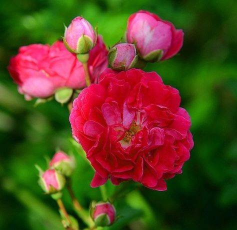 庇佑,整体运势回升,渡过6月劫难,财宝和喜事总是被他们撞见,接住好运