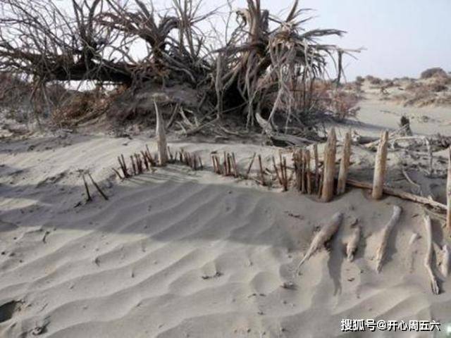 梦境的深邃寓言，水灾、残疾人与黑色棺材的神秘交织