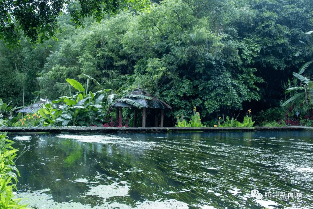 节日|腾冲低温温泉——坝派巨泉