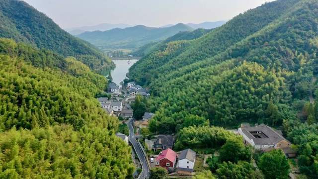 黄湖镇|2021凡人有光·杭州扶摇谷艺术节正式启幕