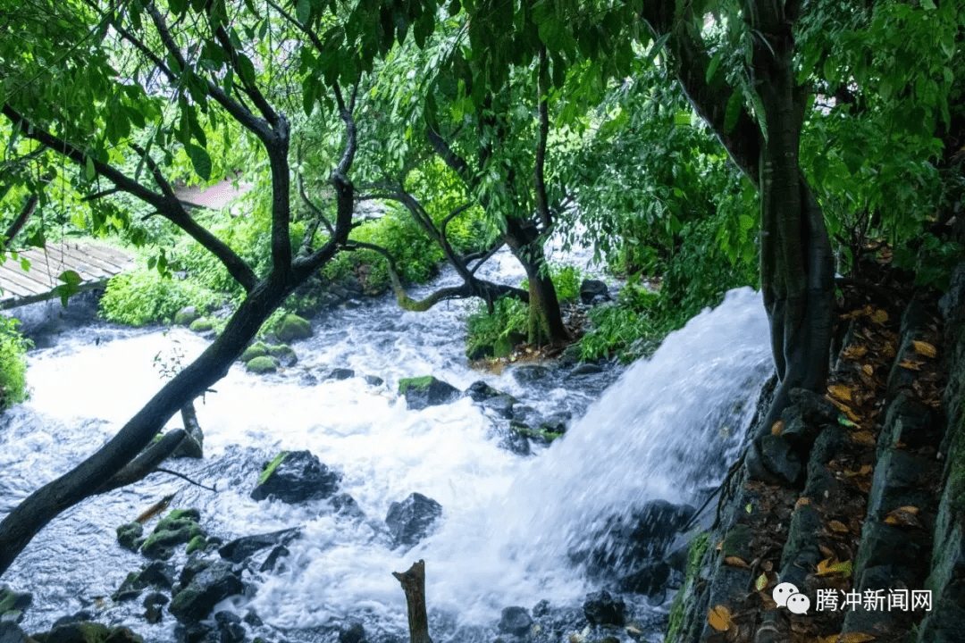 节日|腾冲低温温泉——坝派巨泉