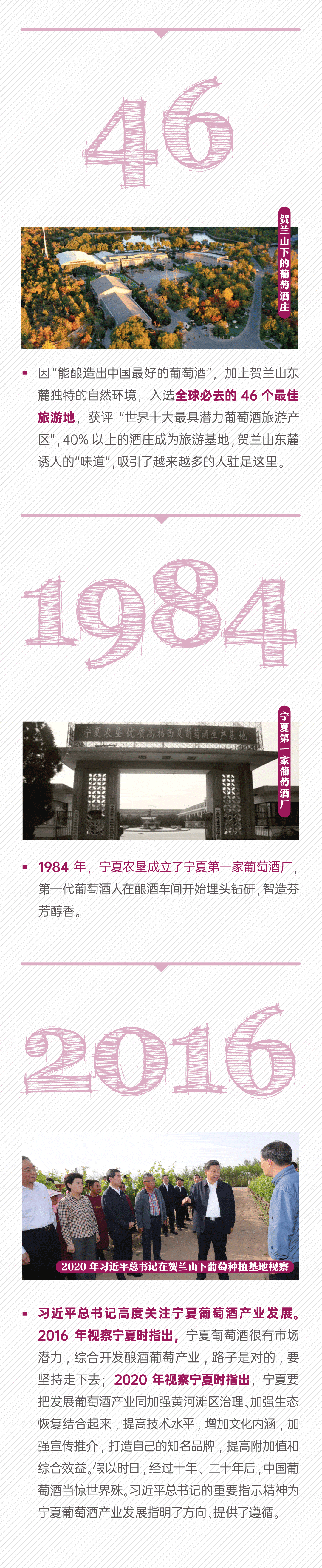 成长|图个明白｜数字里的成长记，藏着宁夏葡萄酒的这些小秘密！