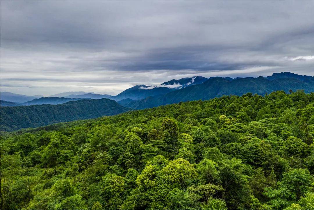 雅安桌山图片