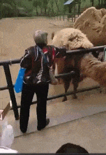 搞笑GIF：讓你們感受一下 單身30年的大師級手速 搞笑整蠱 第22张