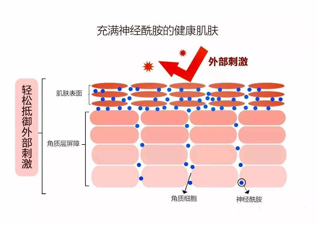 玛鲁拉猛药用多用伤了怎么办？