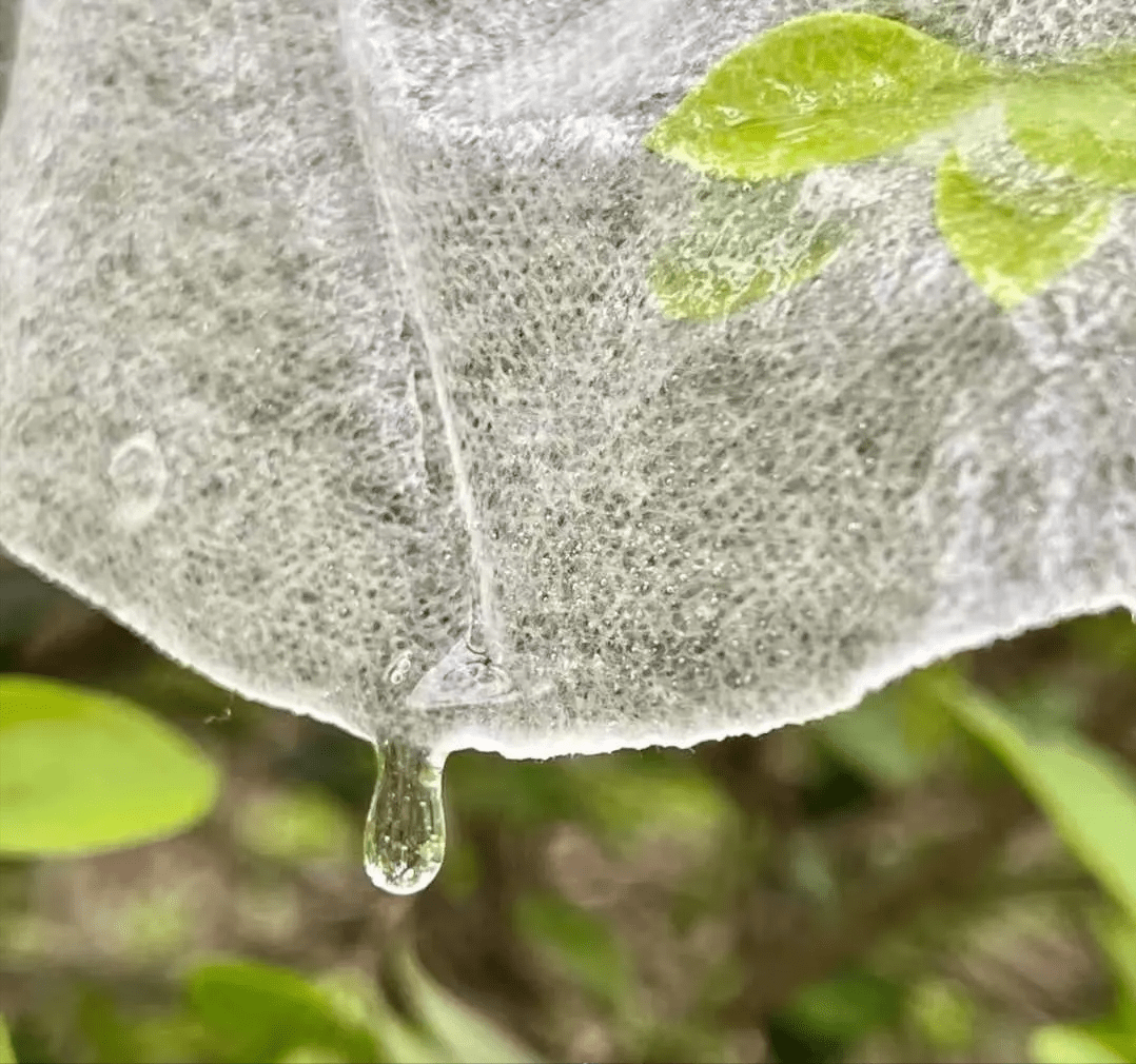 丝瓜辰颐物语：天气干燥，补水非常重要！辰颐补水面膜，呵护你的颜值